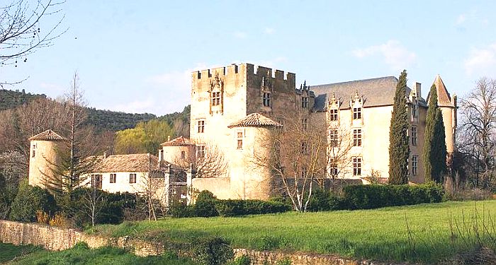 Chateau Allemagne-en-Provence