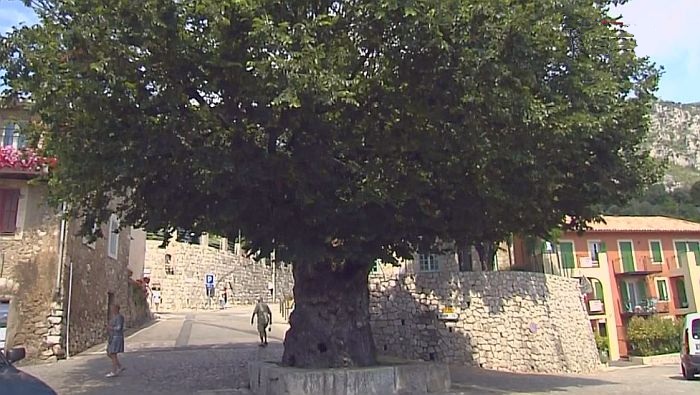 orme de Gorbio