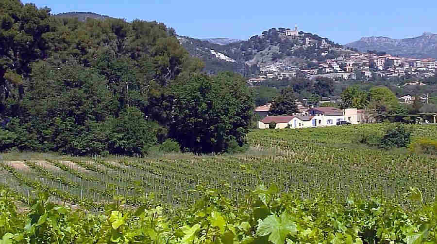 Allauch  vue des  vignes