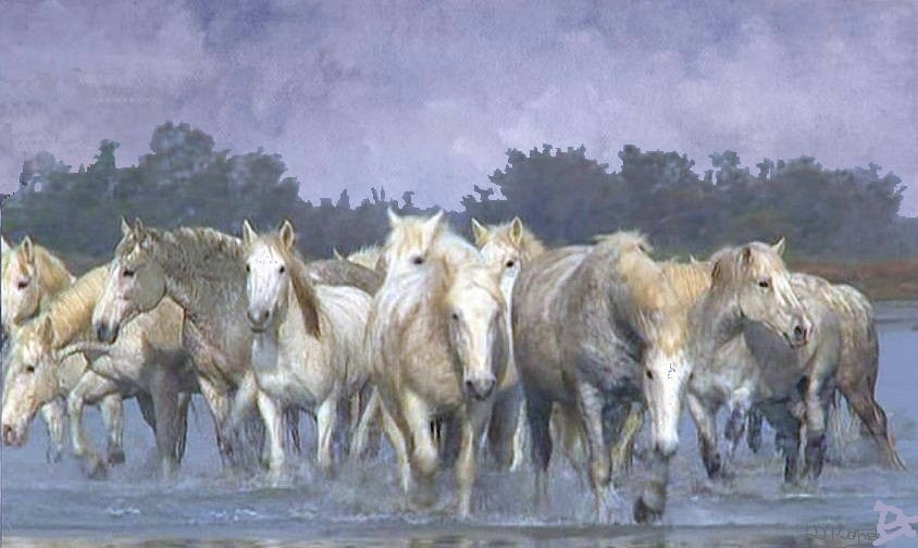 La horde sauvage par Dan Kopel