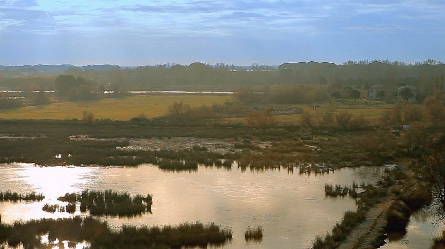 petite Camargue