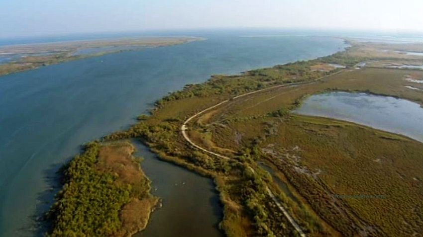 estuaire du Rh&ocirc;ne en Camargue