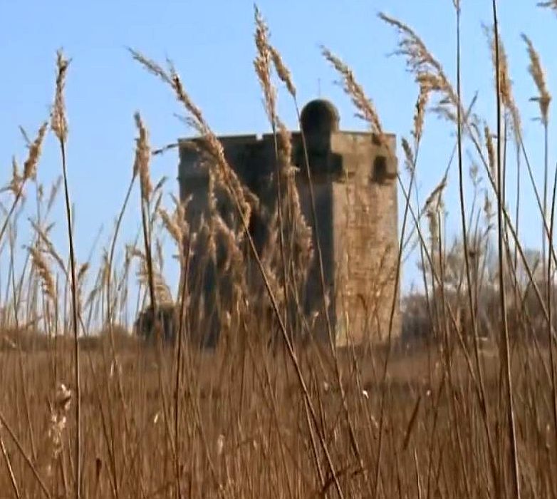 Tour carbonni&egrave;re, Camargue