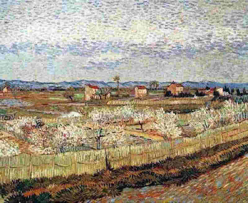 Plaine de la Crau  pr&egrave;s d'Arles avec p&ecirc;chers en fleur ,  par Vincent van Gogh