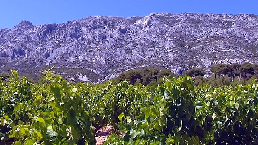 montagne sainte-Victoire depuis les vignes