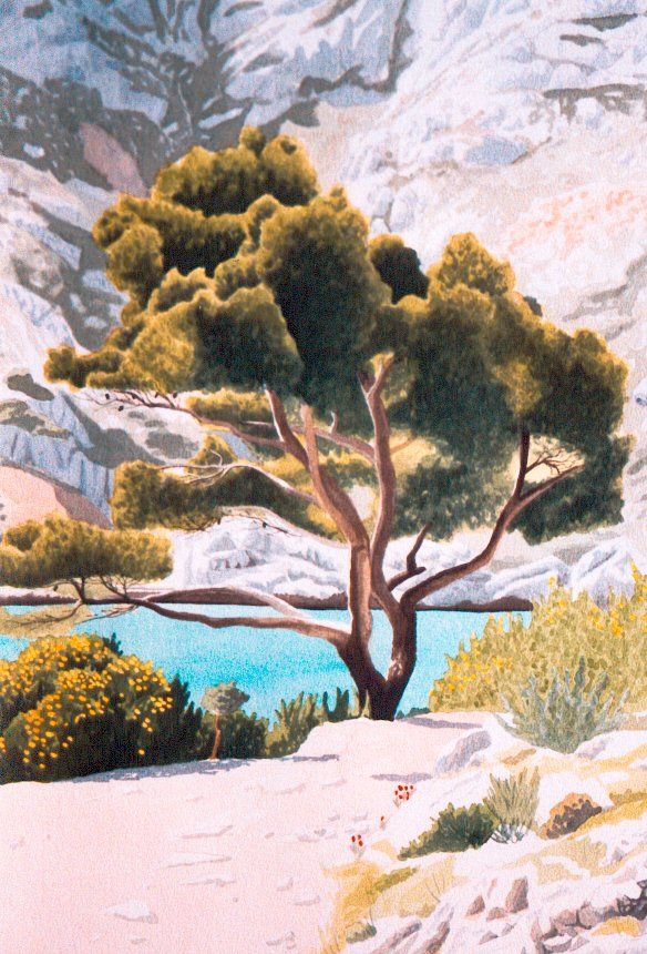 Xavier Duchesnes Arbre &agrave; Sormiou