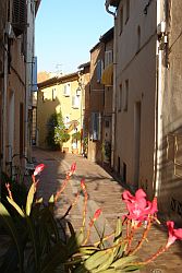 vieille rue de Cassis