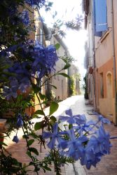 vieille rue de Cassis