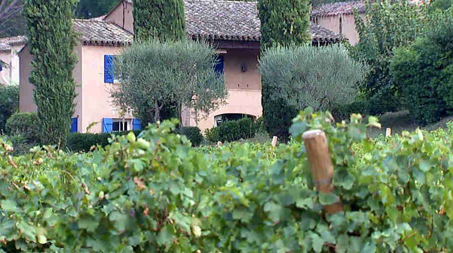 Maison dans le vignoble de St-Tropez