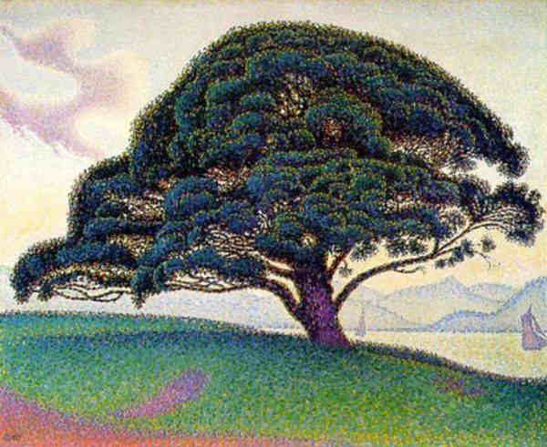 Le pin Bonaventure &agrave; St-Tropez par Paul Signac