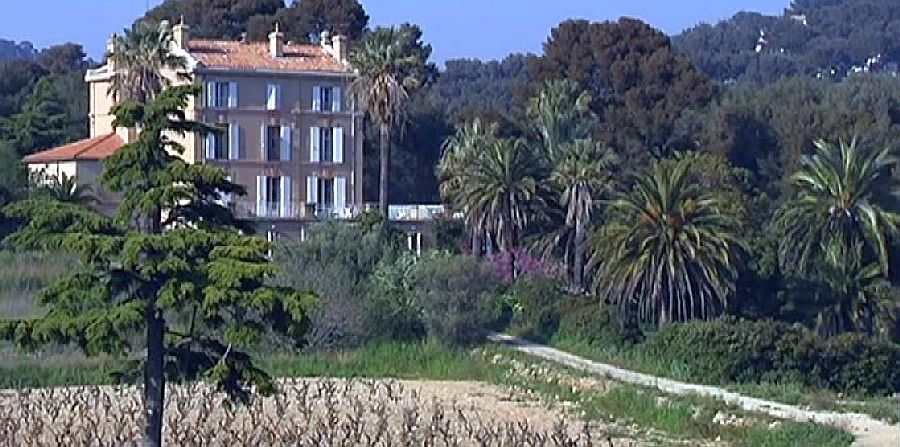 Vignes à Bandol