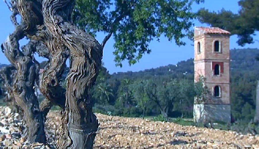 Vignes à Bandol