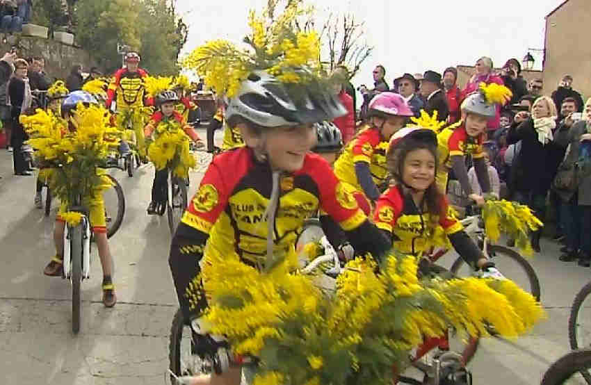 F&ecirc;te du mimosa &agrave; Tanneron
