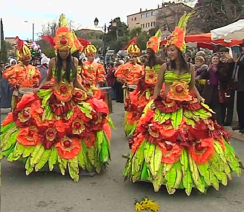F&ecirc;te du mimosa &agrave; Tanneron