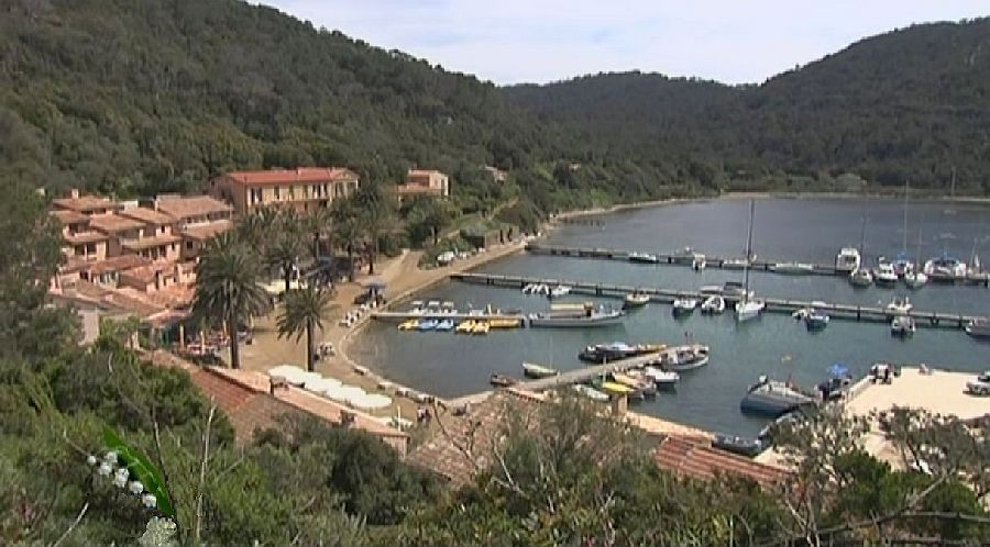 Village et port de Port-Cros