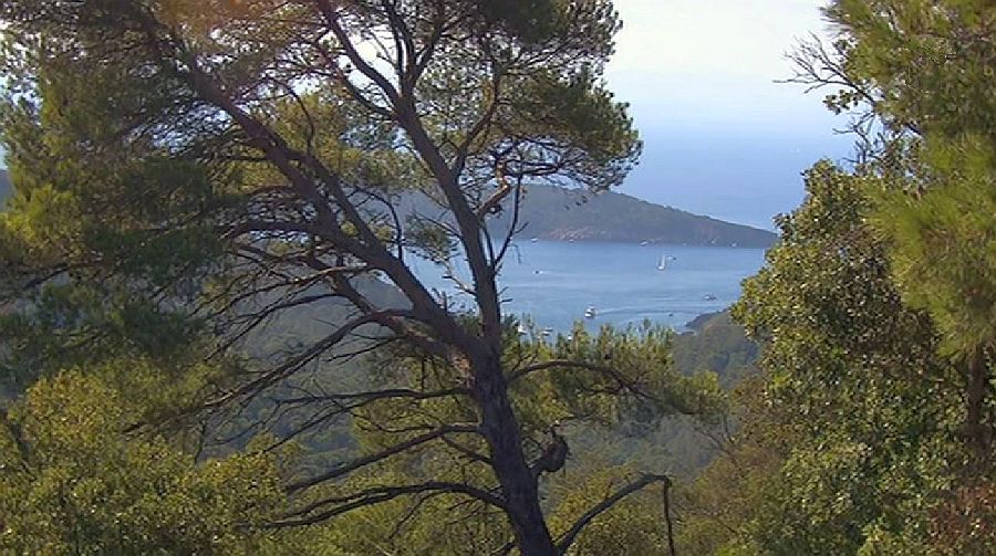 Port Cros