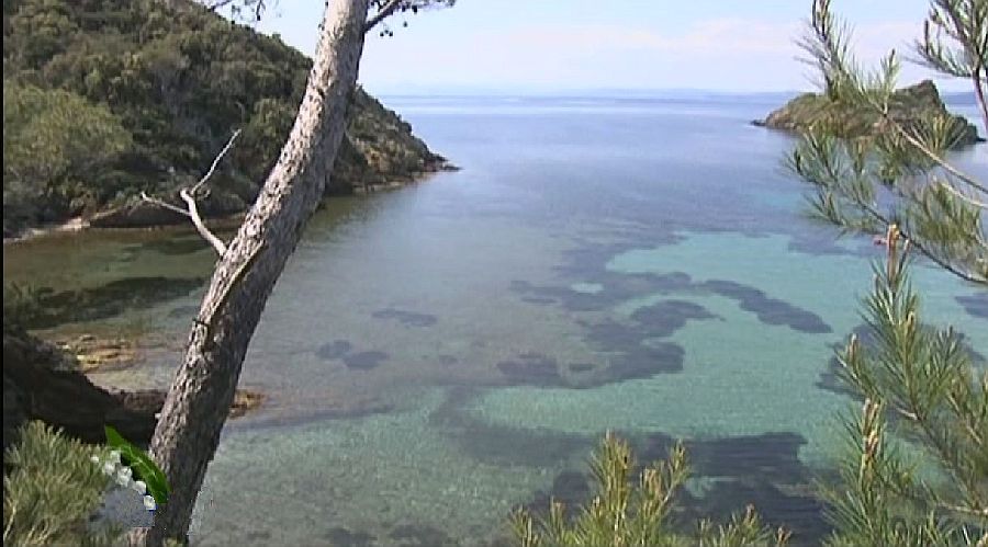 Port Cros