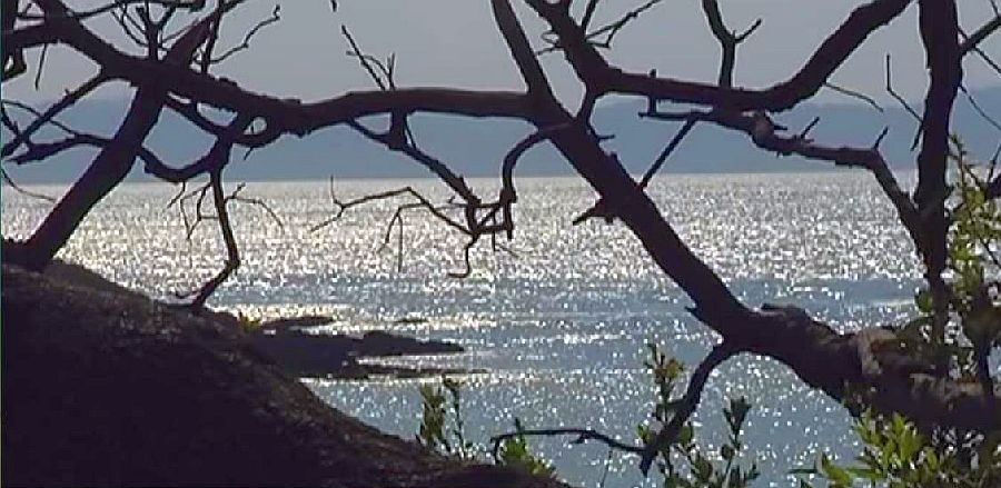 Port Cros