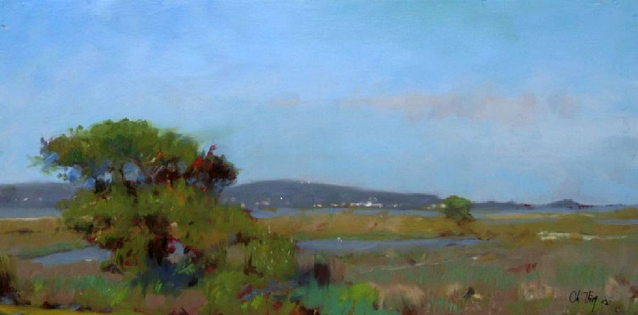 Presqu'ile de Giens Christophe Thiry