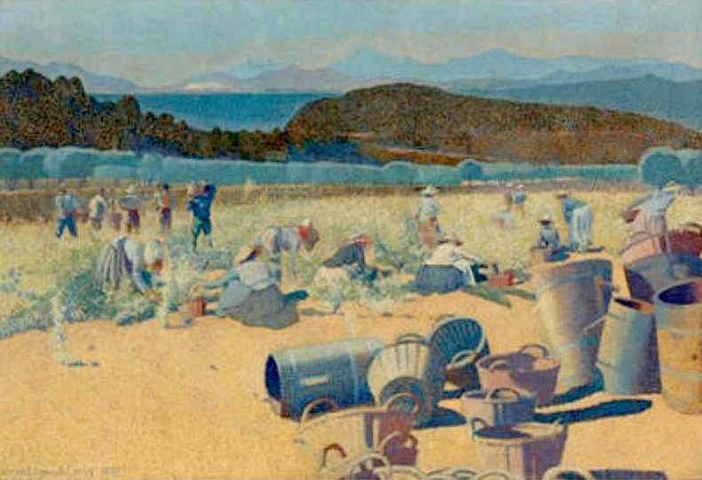 Vendanges dans le Var par henri Edmond Cross