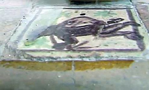 carrelage palais des papes d'Avignon