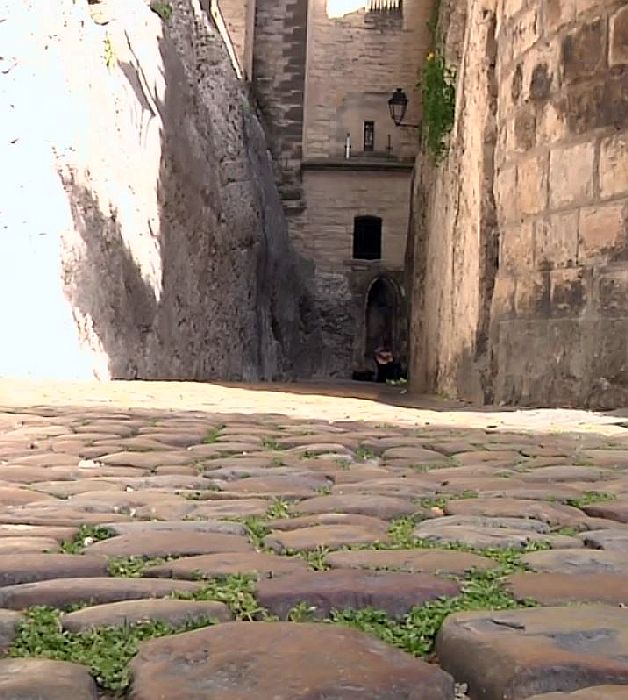 Ruelle pav&eacute;e le long du palais des Papes