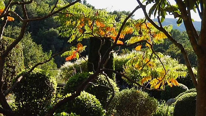 jardin de  la Louve &agrave; Bonnieux