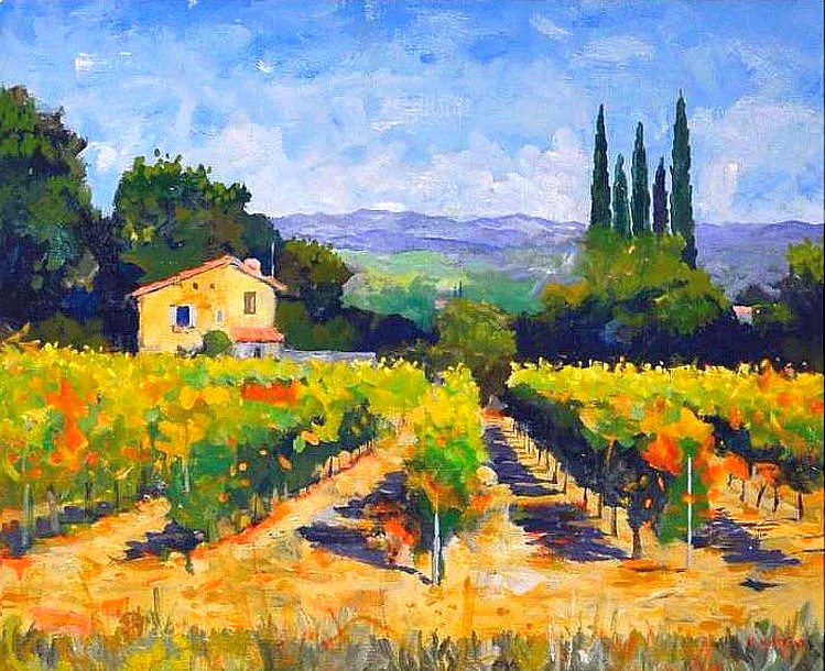 Vignes de Ch&acirc;teauneuf-du-pape par Jie Z Hipken