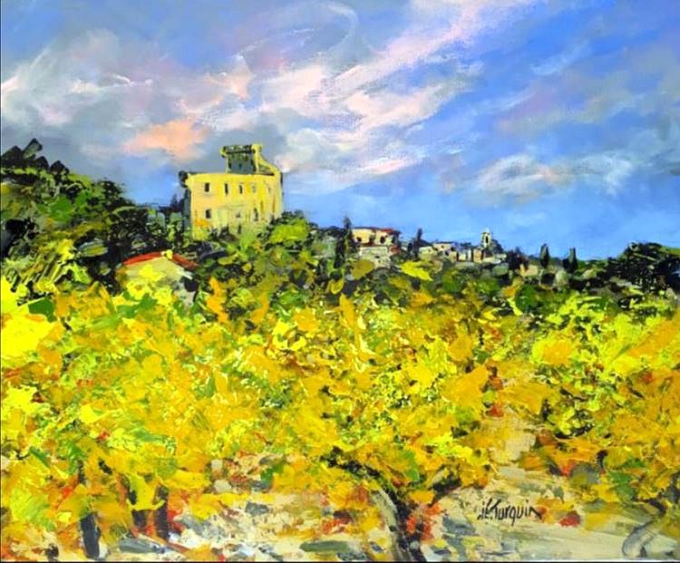 Vignes de Ch&acirc;teauneuf-du-pape par Jie Z Hipken