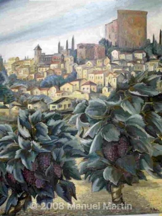 Vignes de Ch&acirc;teauneuf-du-pape par Jie Z Hipken