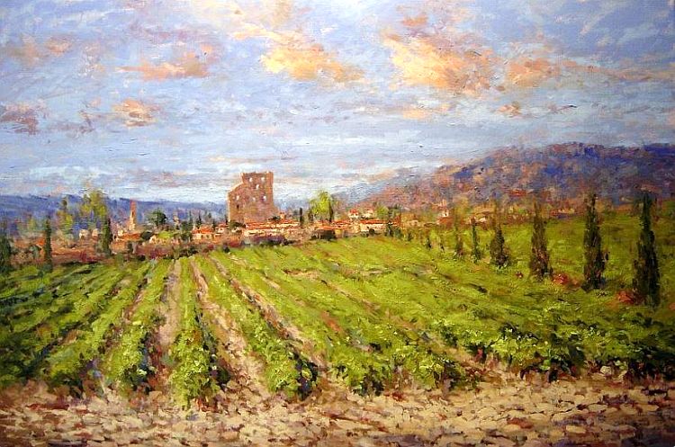 Vignes de Ch&acirc;teauneuf-du-pape par Jie Z Hipken