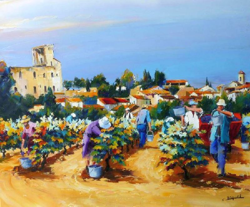 Vendanges &agrave; Ch&acirc;etauneud-du-Pape par Christian Jequel