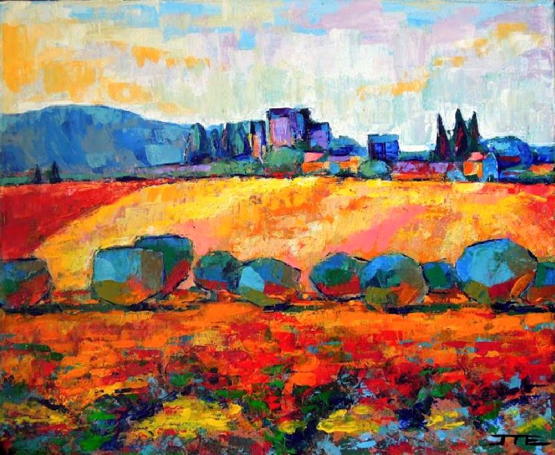 Vignes de Ch&acirc;teauneuf-du-pape par Jie Z Hipken