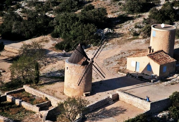 <table width="95%" align="center">