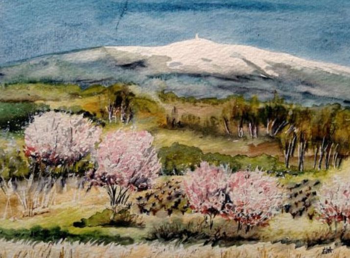 Mont Ventoux  par Ewa Rey
