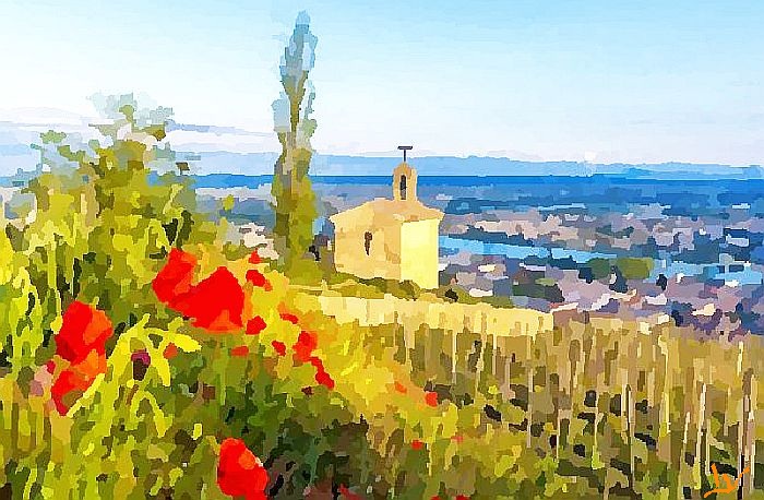 Vignoble C&ocirc;tes du Rh&ocirc;ne par Laura Voolu