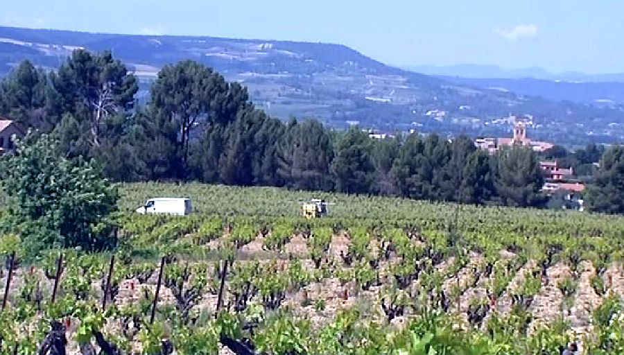 vignoble de Gigondas