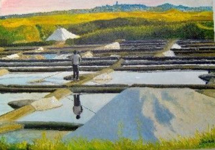 Marais salans &agrave; Gu&eacute;rande par Andr&eacute;