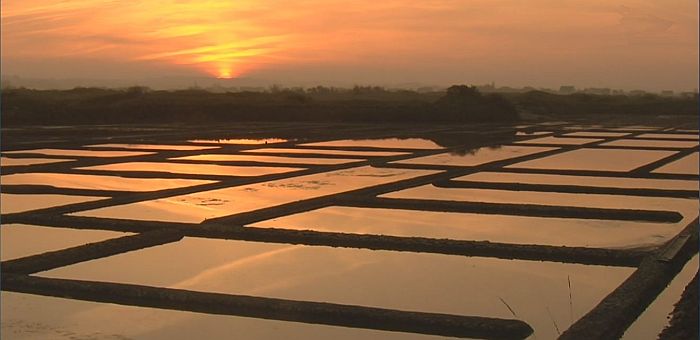 Marais salants &agrave; Gu&eacute;rande