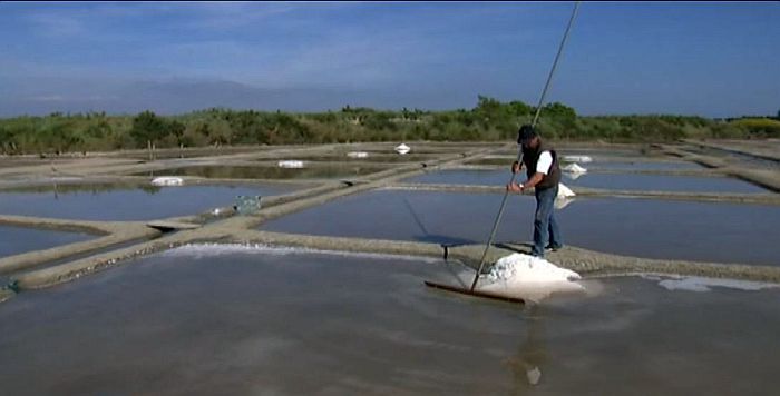 Paludier &agrave; Gu&eacute;rande