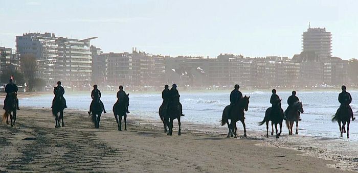 avaliers plage  de La ,Baule