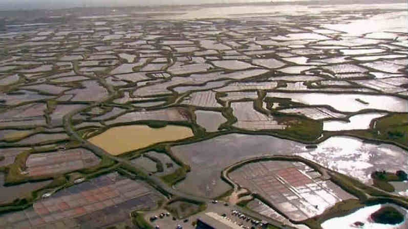 Marais salants de Gu&eacute;rande