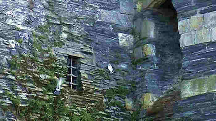 ch&acirc;teau d'Angers