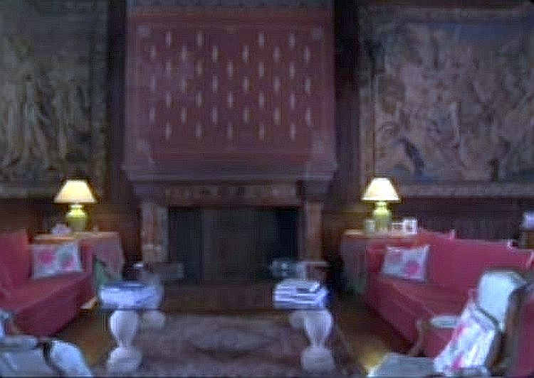 Chateau de Siante-Hermine