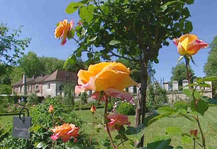 roserai abbaye de Chaalis