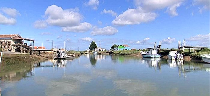 Bassin de Marennes Ol&eacute;ron