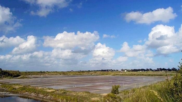 Marais salants &icirc;le de R&eacute;