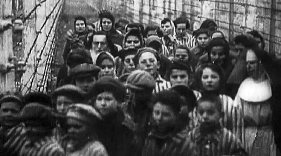 Enfants lib&eacute;r&eacute;s &agrave; Auschwitz