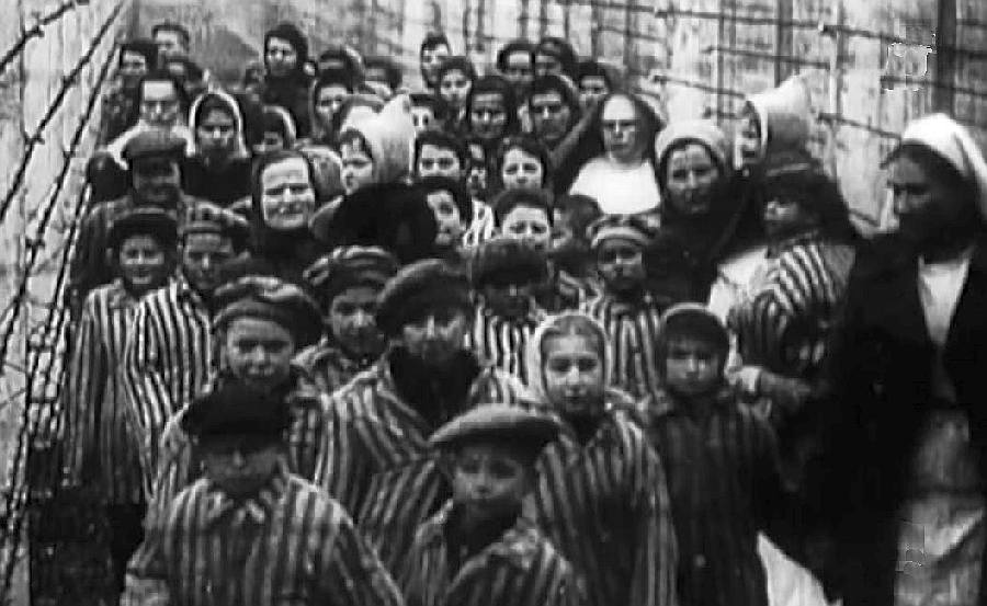 Enfants lib&eacute;r&eacute;s &agrave; Auschwitz