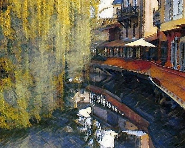 Saule sur la Veyle &agrave; Vonnas par Dan Kopek